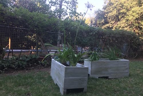 Jardineras de pallet desde 60 x 30 x 26 cm - vista alternativa