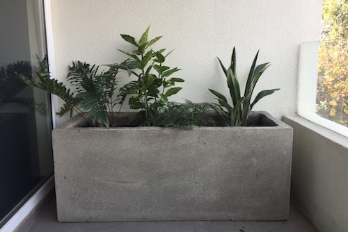 Jardinera de cemento de 100 x 40