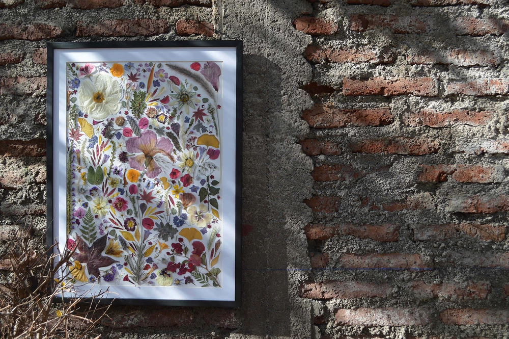 Herbario rectangular de flores prensadas con marco negro
