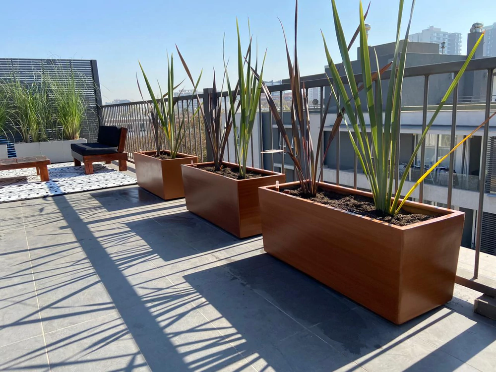 Azotea con plantas - vista alternativa