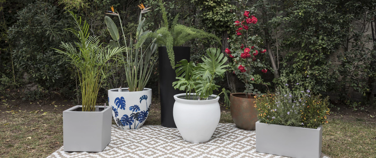 maceteros_autoregantes_con_plantas.jpg