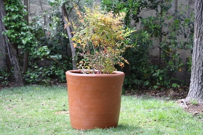 Macetero de greda cilíndrico grande