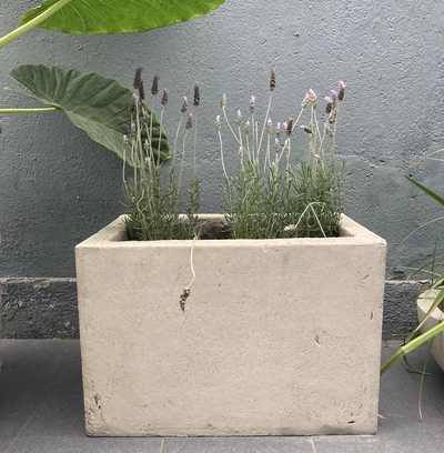 Jardinera de cemento de 60 x 40 cm