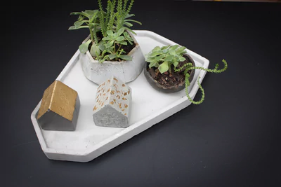 Maceta geométrica de hormigón con planta