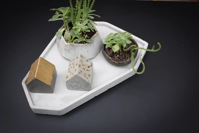 Maceta geométrica de hormigón con planta