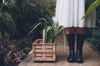 Planes especiales para mamás