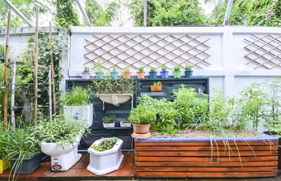 Mantención de plantas