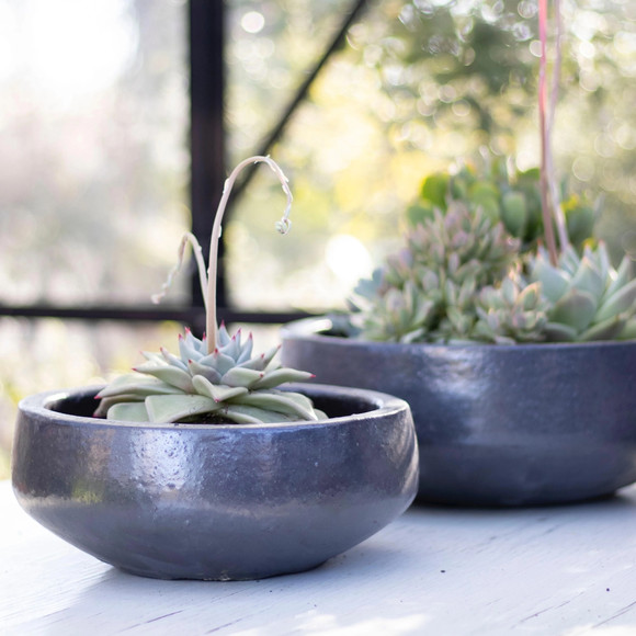 Macetero bajo modelo Piñol