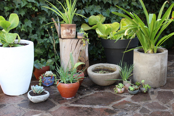 Media bola de hormigón de 30 cm con plantas acuáticas