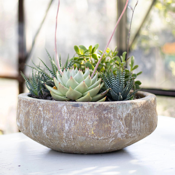 Macetero bajo modelo Piñol