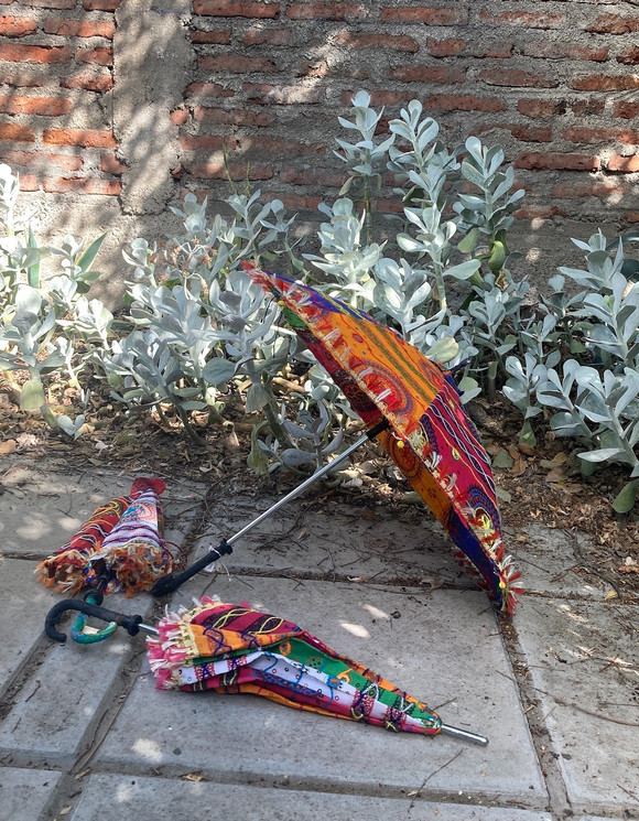 Sombrilla de género