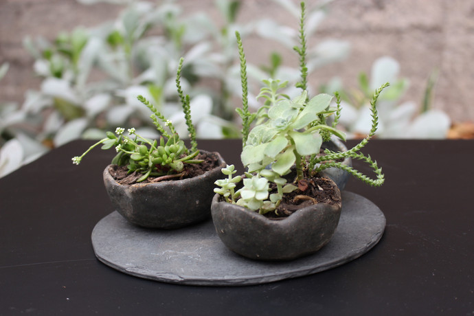 Plato de piedra pizarra - centro de mesa de plato de piedra pizarra y macetas pequeñas de ceramica de gres con suculentas2.jpg