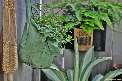 Maceta Eco BAG con Asas - 4.jpg