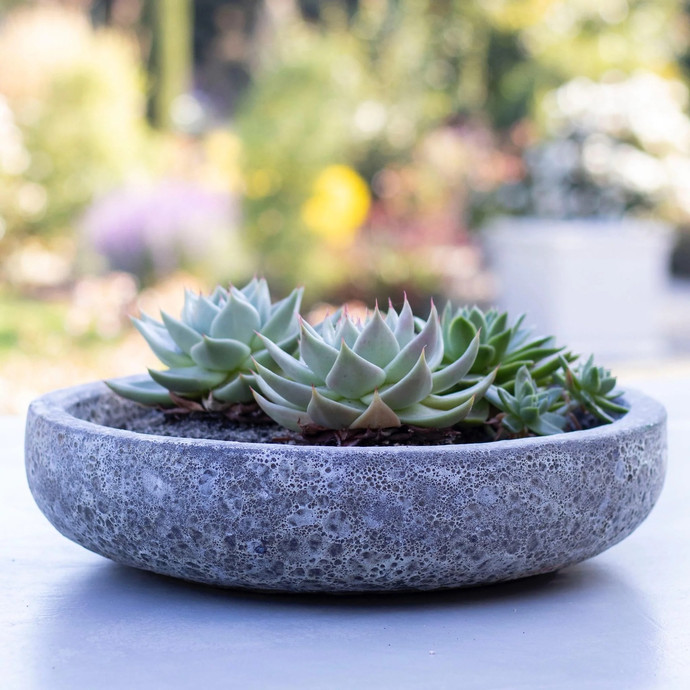 Macetero bajo modelo Azara - macetero o bebedero bajo de ceramica envejecida modelo azara.jpeg.jpg