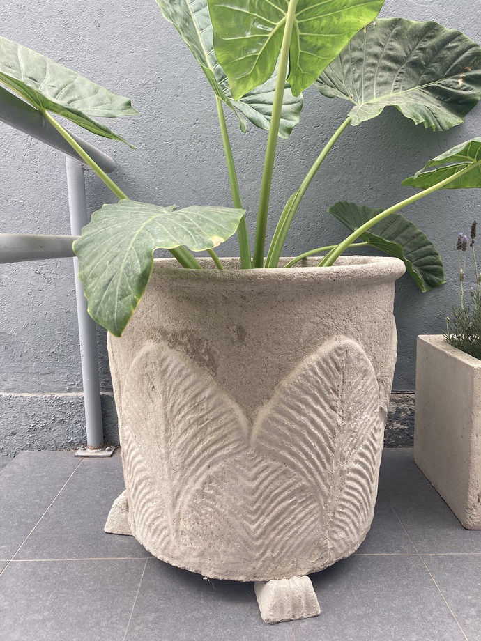 Macetero de hormigón con diseño de hojas  - macetero de hormigon con diseño de hoja.jpg
