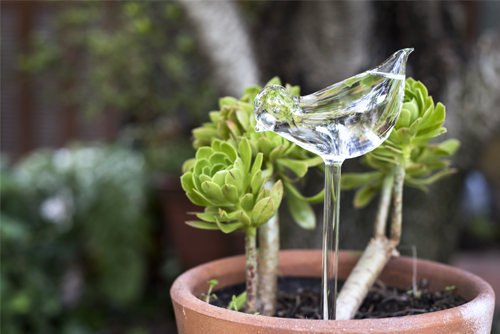 Figura de vidrio autorregante - Terraza Chic 32 B.jpg
