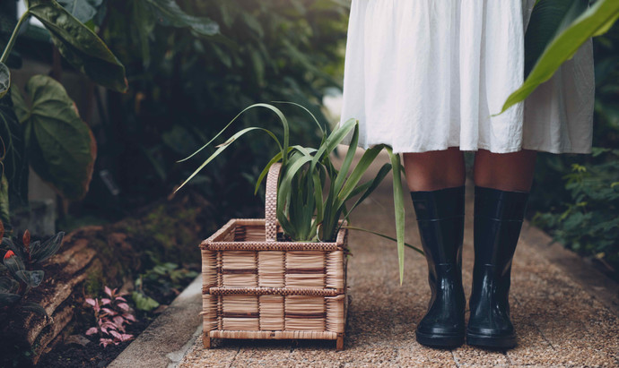 Asesoría, búsqueda, elección y compra de plantas - Foto emprendimiento femenino.jpg