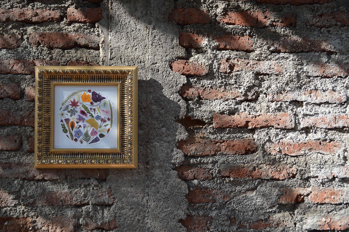  Herbario circular de flores prensadas con marco de 42 x 42 cm - cuadro marco dorado con flores prensadas.jpeg