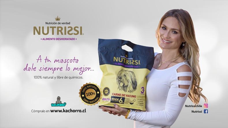 galeria novedades