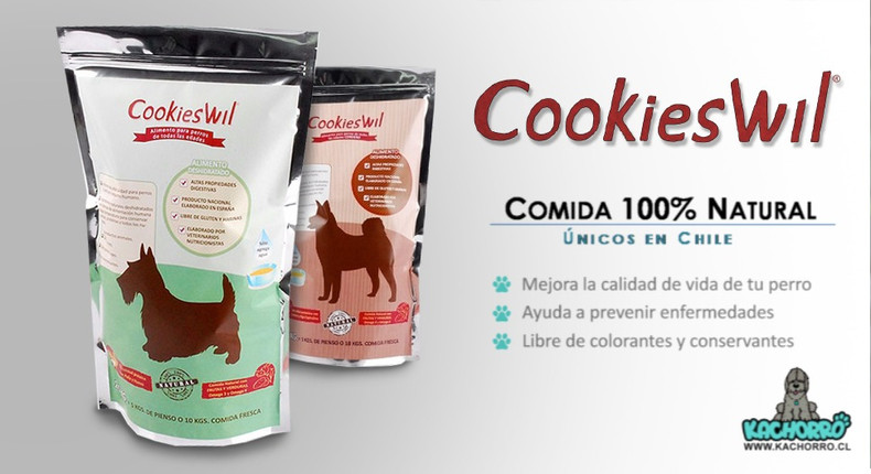 galeria novedades