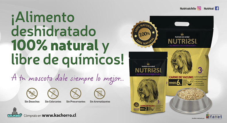 galeria novedades