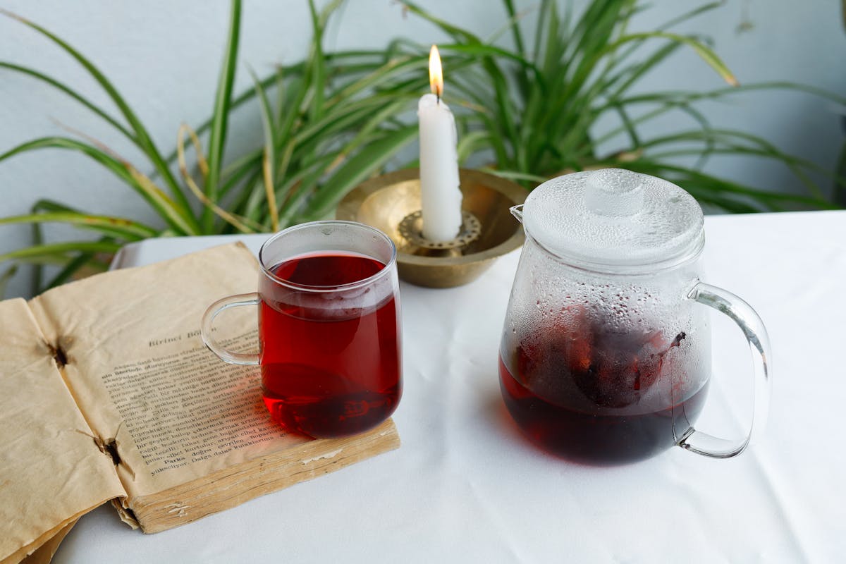 FLOR DE JAMAICA: INFUSIÓN NATURAL PARA MEJORAR TU DÍA A DÍA
