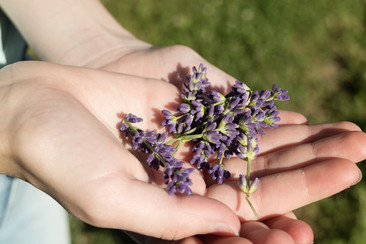 PRODUCTOS NATURALES PARA MANEJAR EL ESTRÉS DE FIN DE AÑO