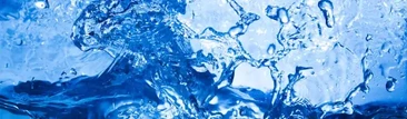 EL PODER DEL AGUA ALCALINA