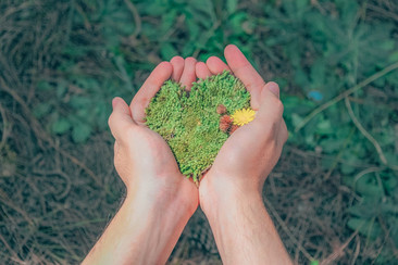 PRODUCTOS ALIMENTICIOS QUE APORTAN AL CUIDADO DEL MEDIO AMBIENTE