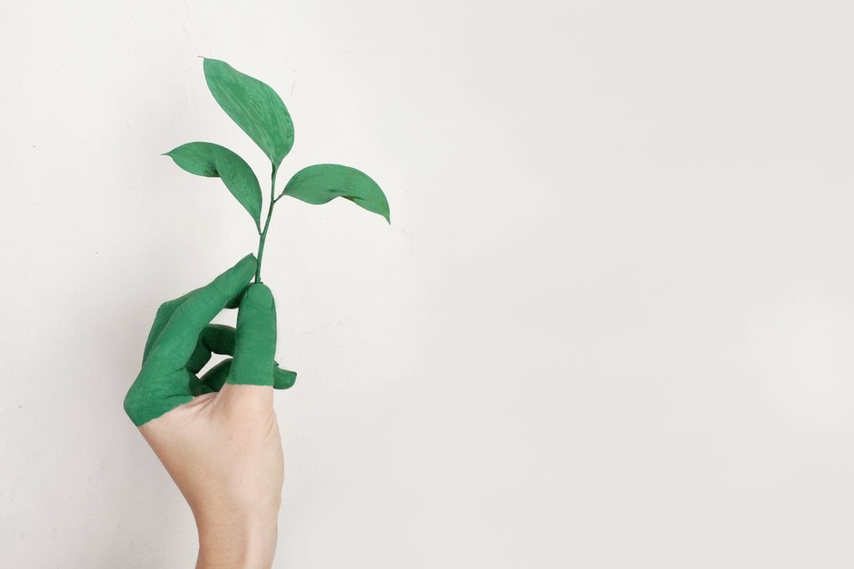 DÍA DE LA TIERRA: CUIDA EL PLANETA CON PRODUCTOS NATURALES