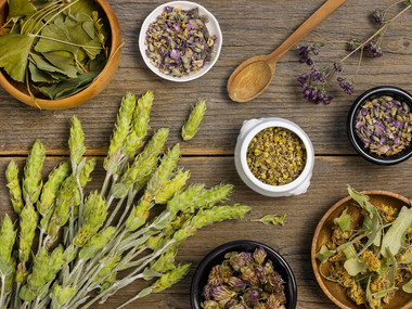 10 PLANTAS MEDICINALES CHILENAS: CONOCE SUS PROPIEDADES 