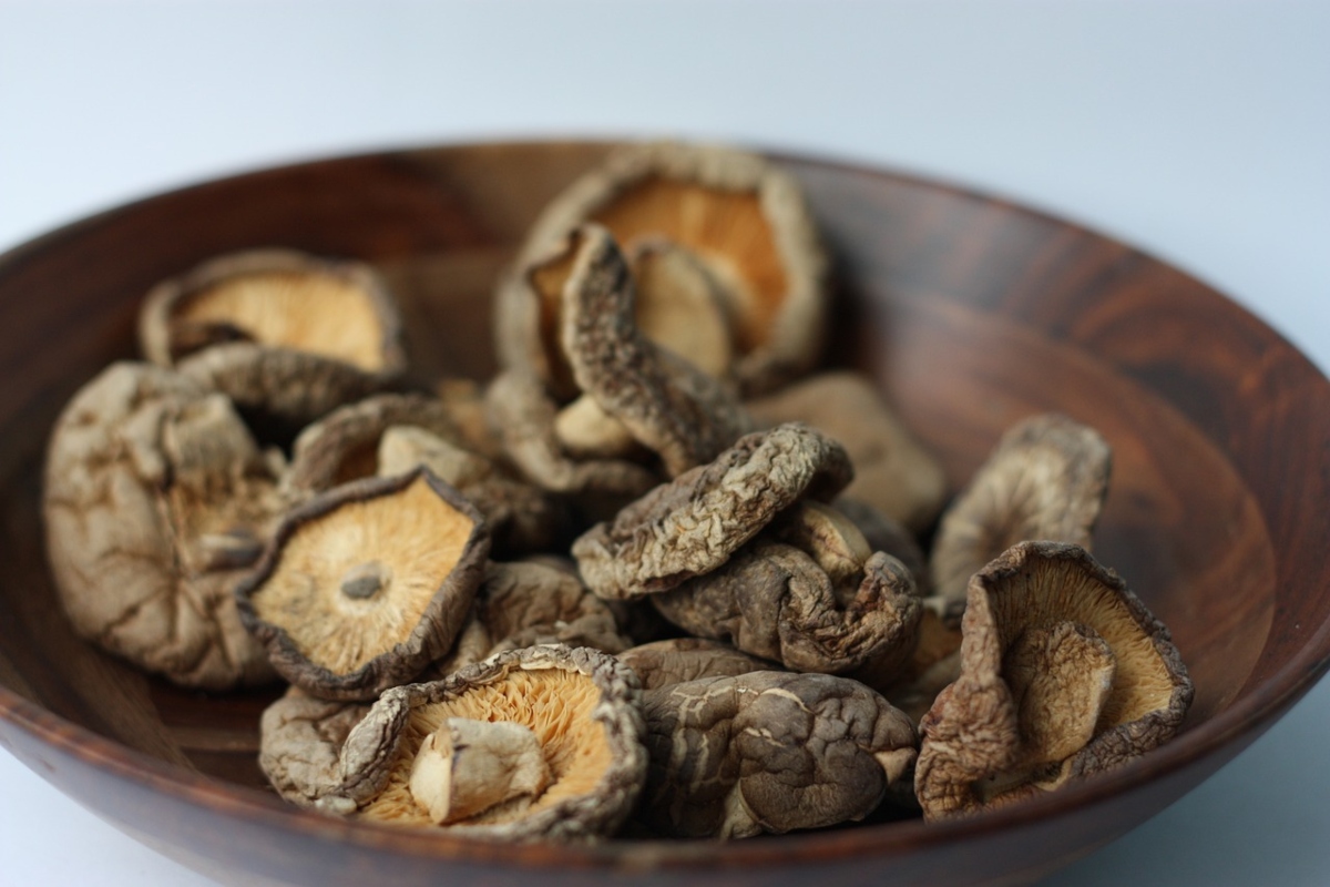 BENEFICIOS PARA LA SALUD QUE OTORGAN LOS HONGOS COMESTIBLES