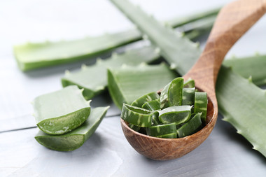 DESCUBRE LOS BENEFICIOS DEL ALOE VERA PARA TU FLORA BACTERIANA