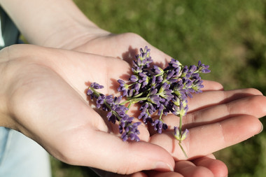 PRODUCTOS NATURALES PARA MANEJAR EL ESTRÉS DE FIN DE AÑO