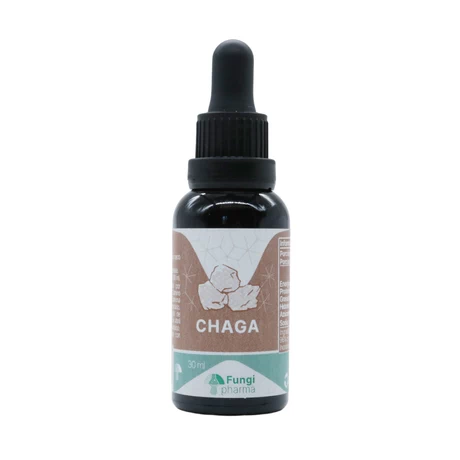 Hongo Chaga 30 ml,  FUNGI