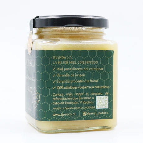 Miel cruda de ulmo bioactiva 400g, Boroco - vista alternativa