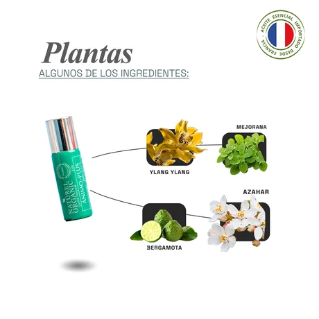Roll-On Animo Plus 4 ml, Naturel - vista alternativa