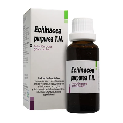 Echinacea purp. T.M.  
