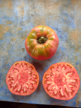 TOMATE ROSADO