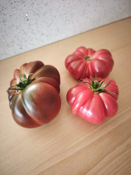 Tomate Zapoteca