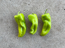 Pimiento Cubanelle