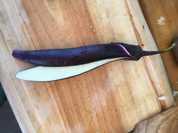 Berenjena Malasia Roja Oscura