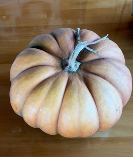 ZAPALLO MUSQUEE DE PROVENCE ORGÁNICO