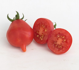 Tomate Piennolo del Vesubio Rojo