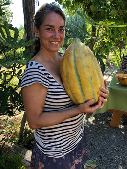 Melón Casaba Bidweel