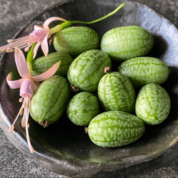 Cucamelon