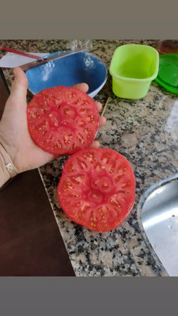 TOMATE ROSADO