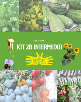 KIT 2B INTERMEDIO