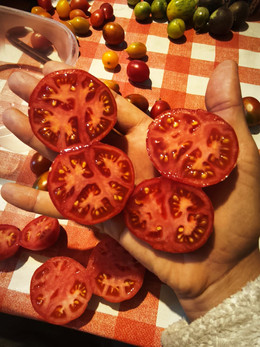 TOMATE DE RACIMO MIX