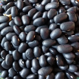 POROTO NEGRO ORGÁNICO